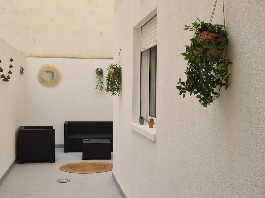 Beautiful Apartment With Patio Torrevieja Buitenkant foto