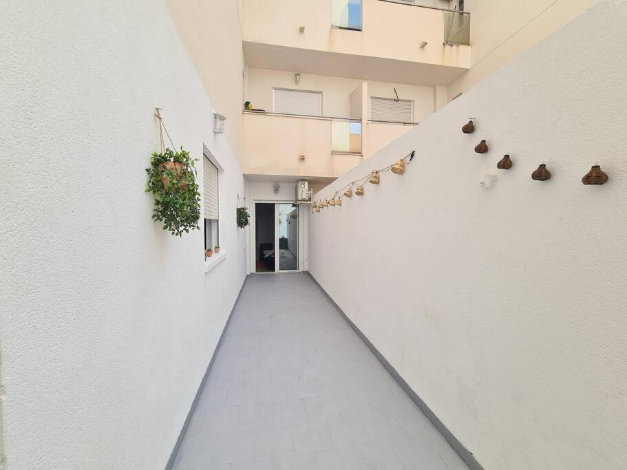 Beautiful Apartment With Patio Torrevieja Buitenkant foto