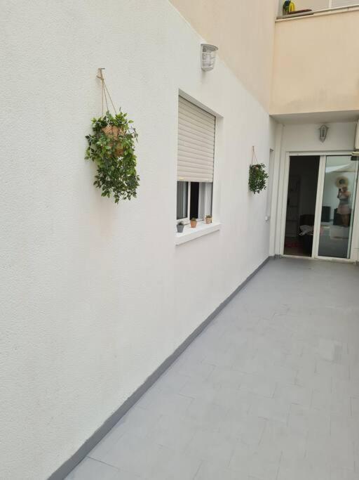 Beautiful Apartment With Patio Torrevieja Buitenkant foto